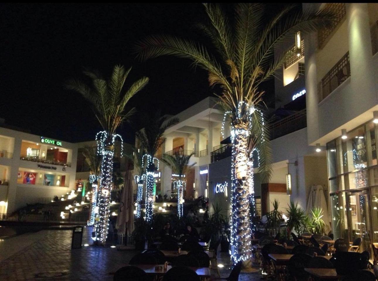 Appartamento Chessboard Oasis By Bc