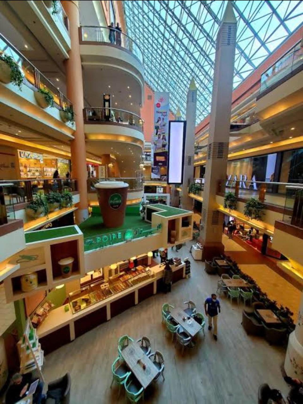 Chessboard Oasis By Bc